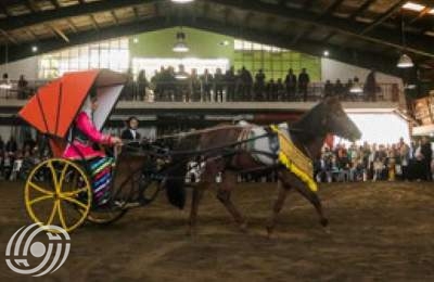 مهرجان جمال خيول بحر قزوين في أنزلي مهرجان جمال خيول بحر قزوين في أنزلي